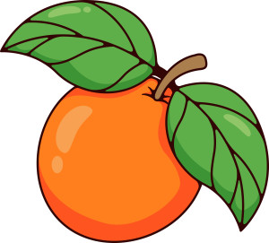 Раскрашенная картинка: ароматный апельсин с двумя листиками на ветке