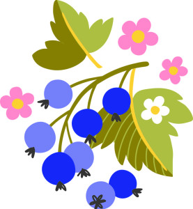 Раскрашенная картинка: гроздь смородины на ветке с листиками и цветками