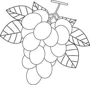 Раскраска ветка винограда с крупными ягодами