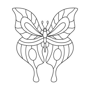 Раскраска бабочка с длинными крыльями