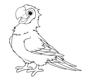 Раскраска попугай алый ара