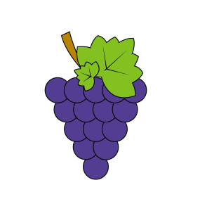 Раскрашенная картинка: лист винограда на грозди