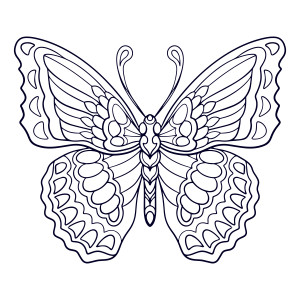 Раскраска бабочка с рисунком мандала на крыльях