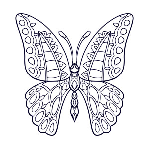 Раскраска бабочка с нежными узорами на крыльях