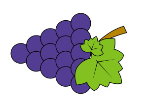 Раскрашенная картинка: контур гроздь винограда