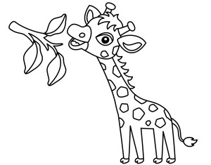 Раскраска жираф и веточка