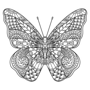 Раскраска сложная бабочка с ажурными узорами на крыльях