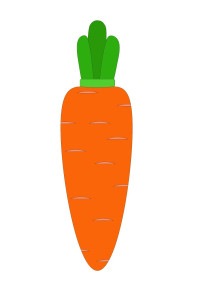 Раскрашенная картинка: контур морковки