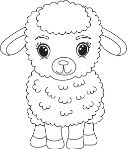 Раскраска овца крупным планом