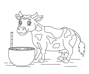 Раскраска корова пьет воду