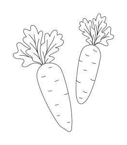 Раскраска две морковки с ботвой