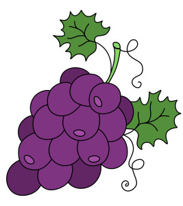 Раскрашенная картинка: фермерская виноградная гроздь