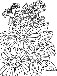 Раскраска букет из свежих цветов герберы