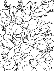 Раскраска гибискус цветок чая