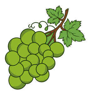 Раскрашенная картинка: ветка винограда с листьями