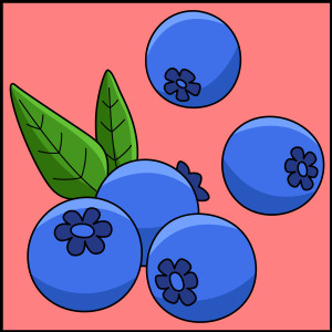 Раскрашенная картинка: синие ягоды черники