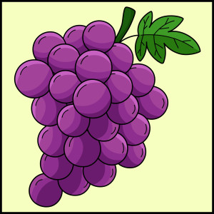 Раскрашенная картинка: ягоды винограда на ветке