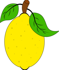 Раскрашенная картинка: лимон с листиками на ветке