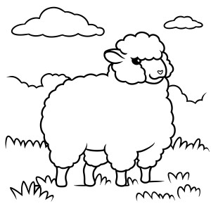 Раскраска овца стоит на траве на фоне облаков