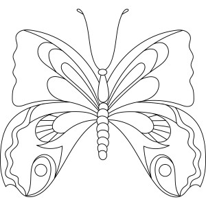 Раскраска грациозная бабочка