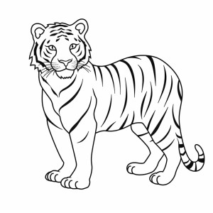 Раскраска амурский тигр