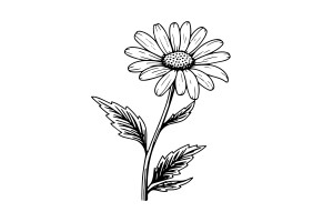 Раскраска эстетичный цветок ромашка