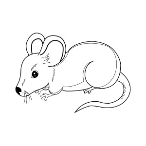 Раскраска серая мышь