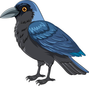 Раскрашенная картинка: мультяшная птица ворона
