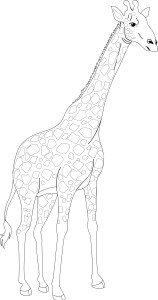 Раскраска высокий жираф с длинной шеей