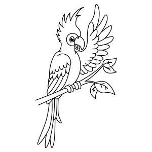 Раскраска смешной попугай на ветке