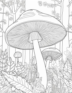 Раскраска лес с грибами