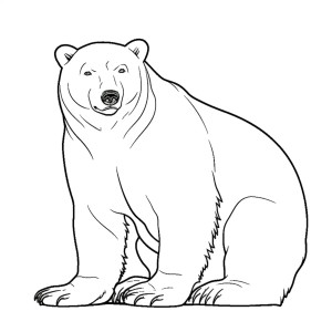 Раскраска большой бурый медведь