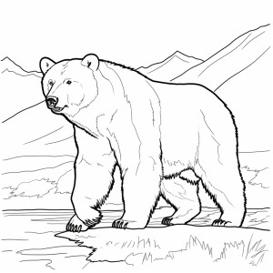 Раскраска реалистичный бурый медведь у горы