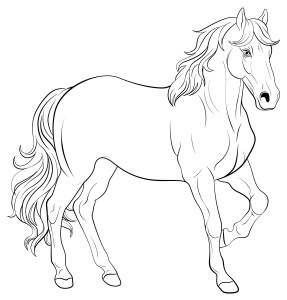 Раскраска реалистичный конь