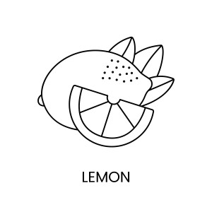 Раскраска лимон с долькой