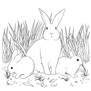 Раскраска зайчиха с зайчатами в траве