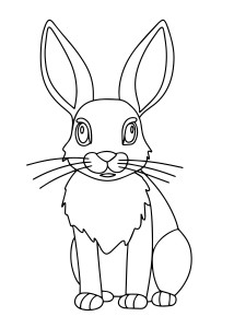 Раскраска заяц с большими усами
