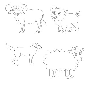 Раскраска животные на ферме: овца, бык, свинья, собака