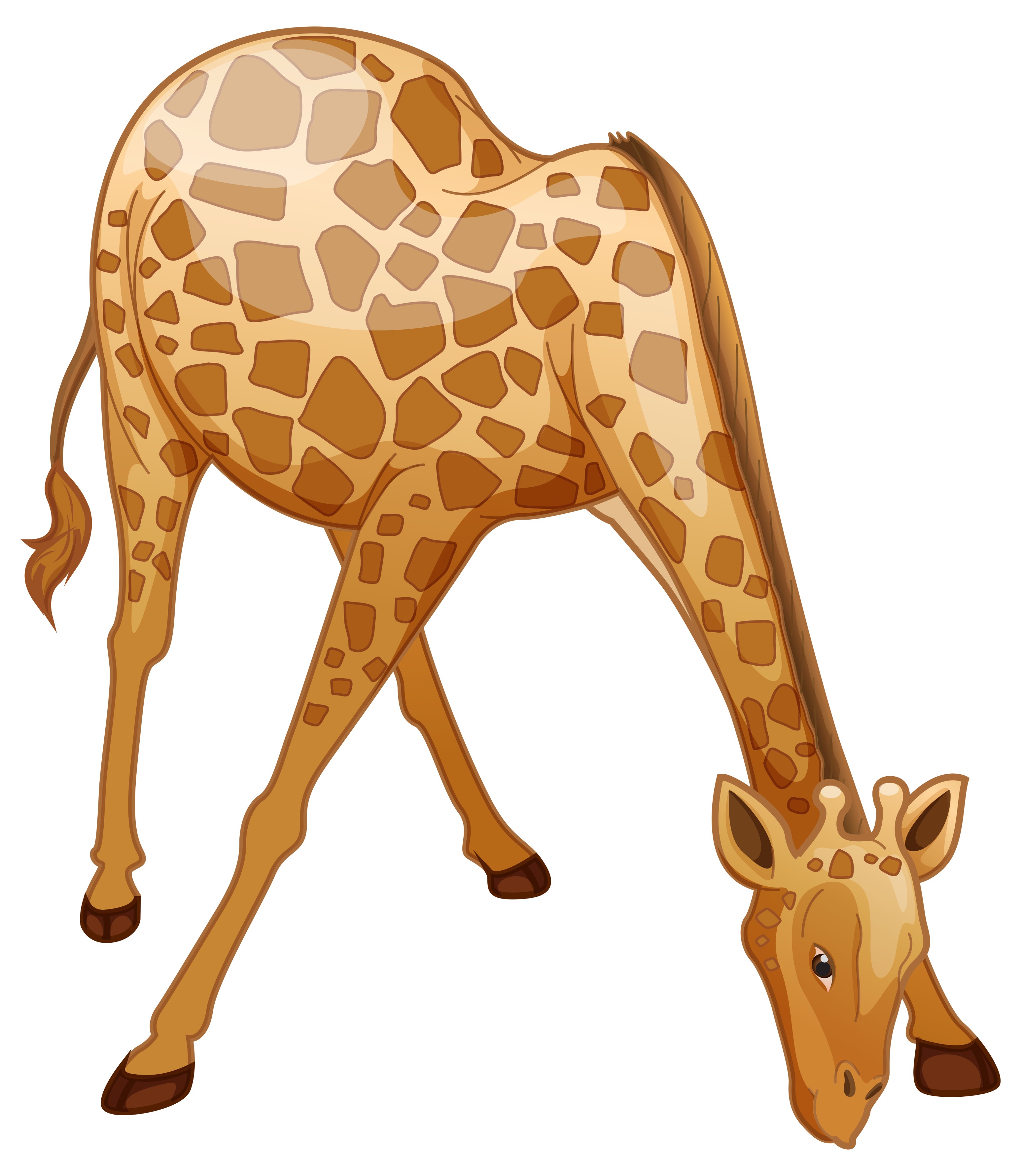 Образец раскрашенной картинки жираф наклонился попить воды