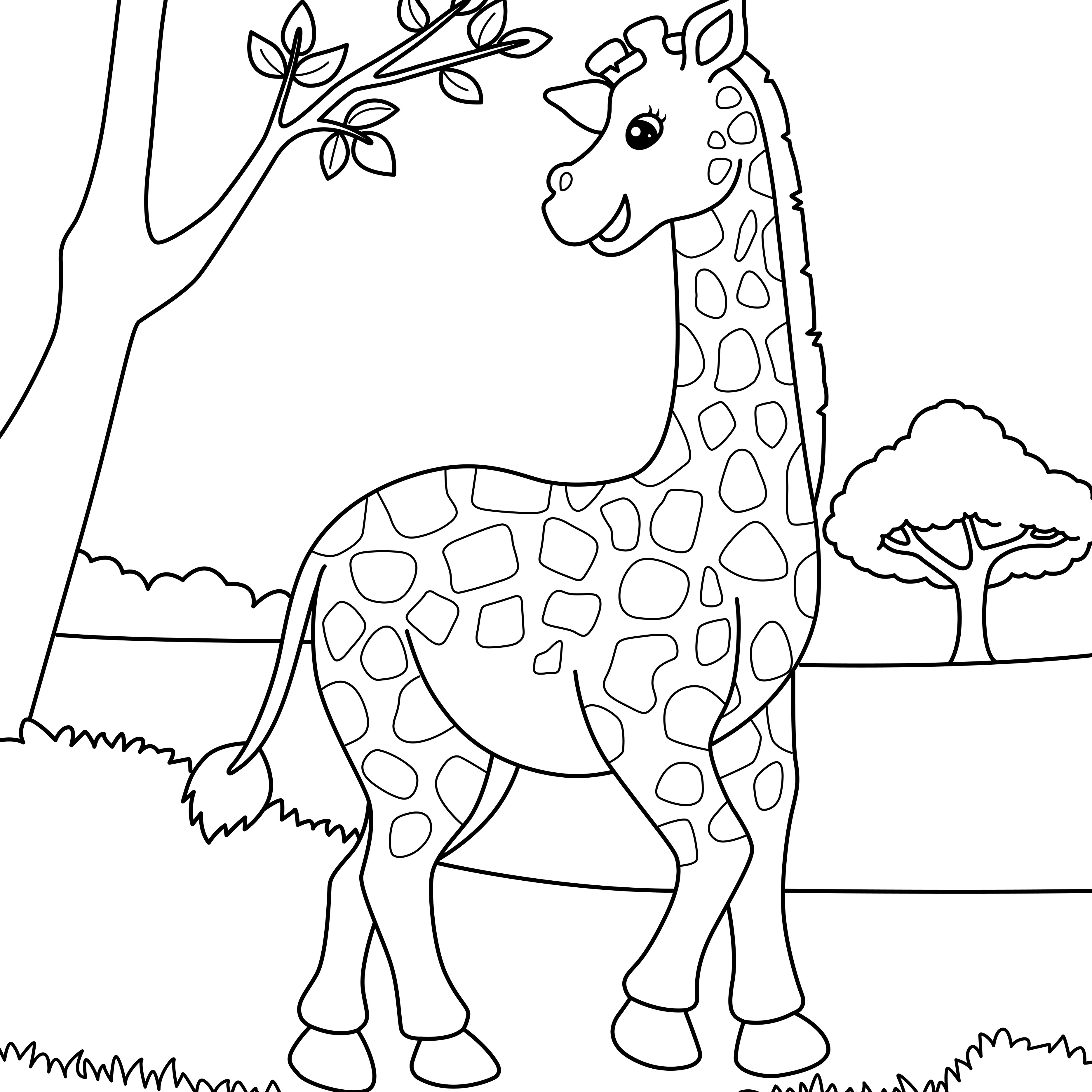 Раскраска жираф в поле стоит у дерева формата А4 в высоком качестве