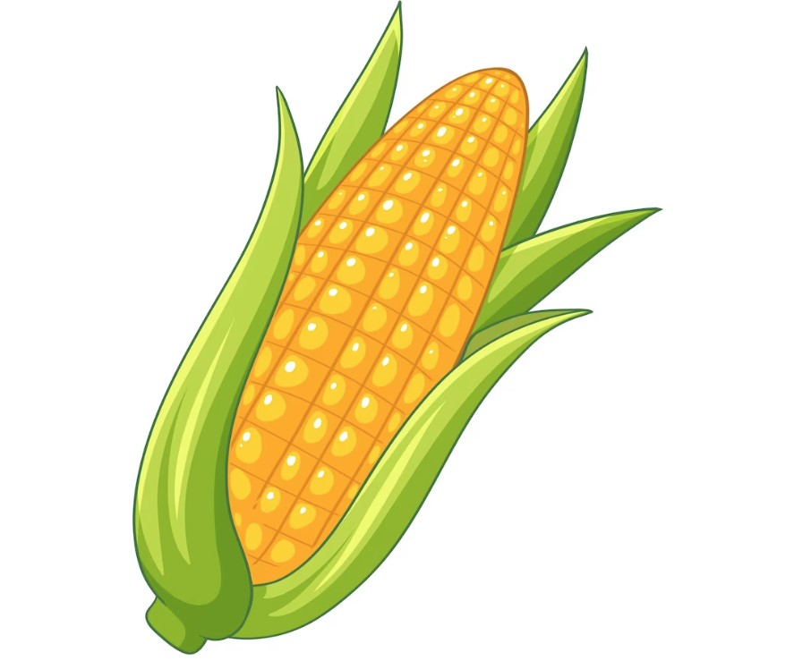 Филворд - слово: кукуруза