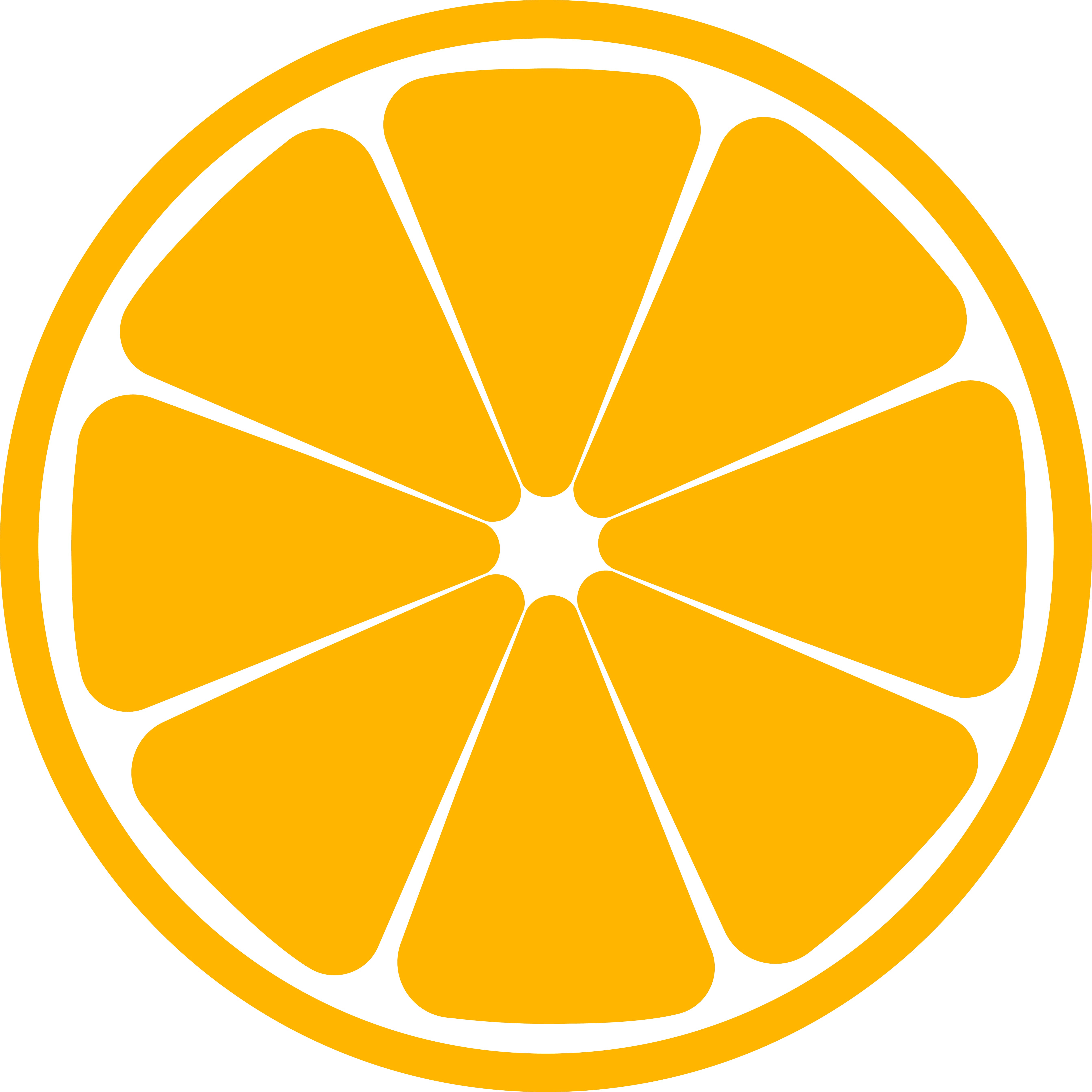 Образец раскрашенной картинки круглая долька апельсина