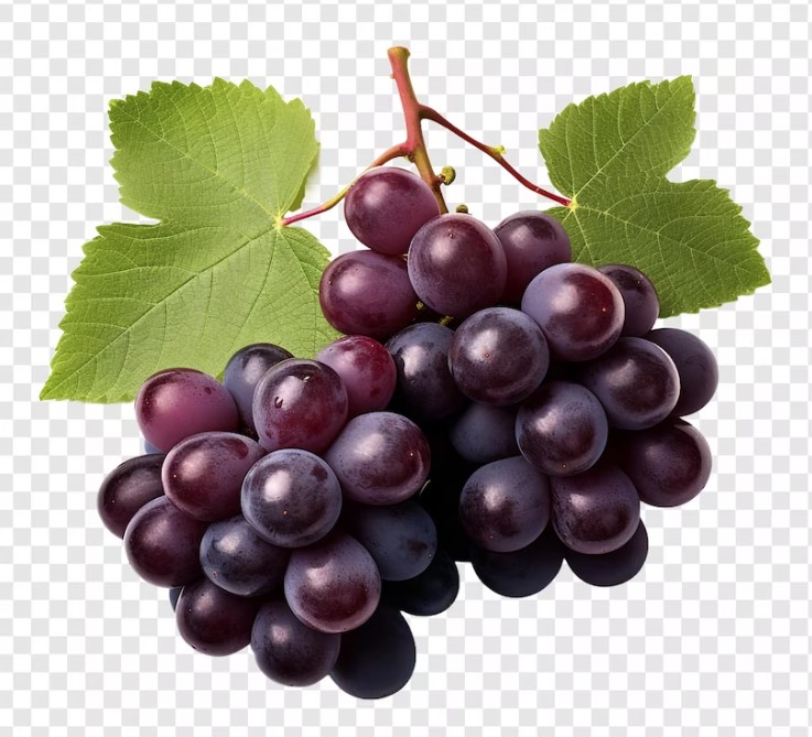 Филворд - слово: виноград