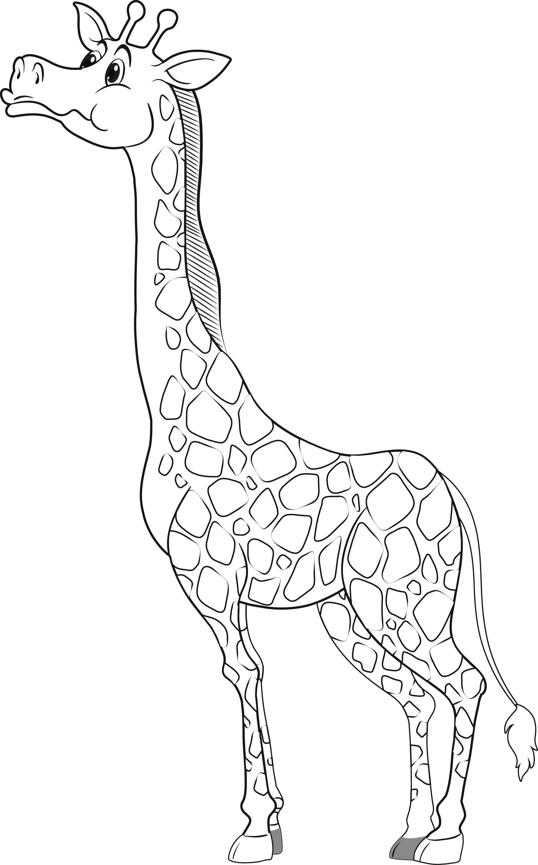 Раскраска мультяшный любопытный жираф формата А4 в высоком качестве