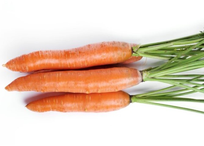 Филворд - слово: морковь